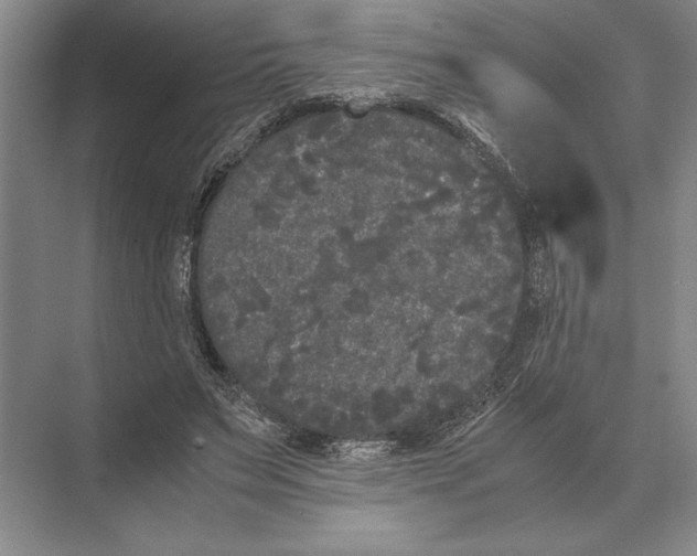 X0000072530495200608111750