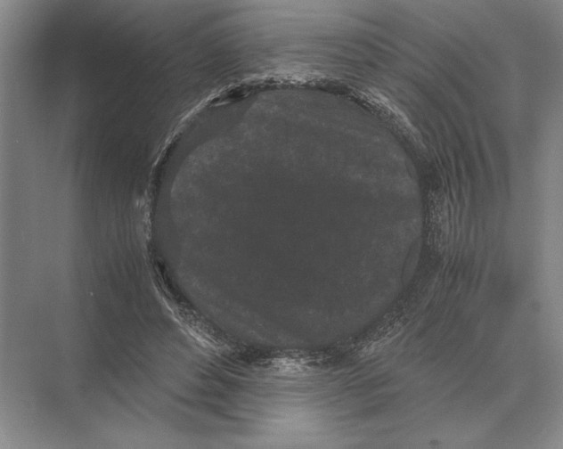 X0000072530496200608111750