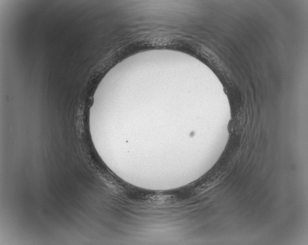 X0000072530497200608111750