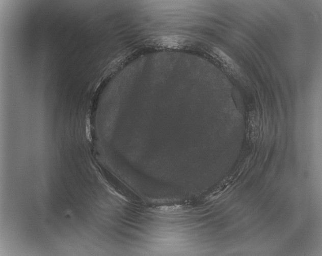 X0000072530500200608111750