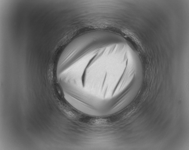 X0000072530501200608111750