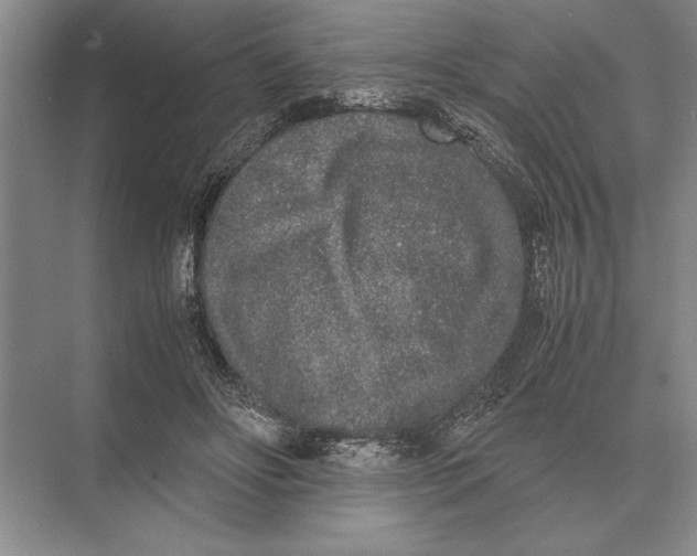 X0000072530502200608111750