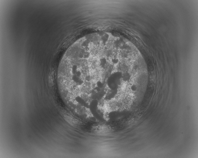 X0000072530503200608111750