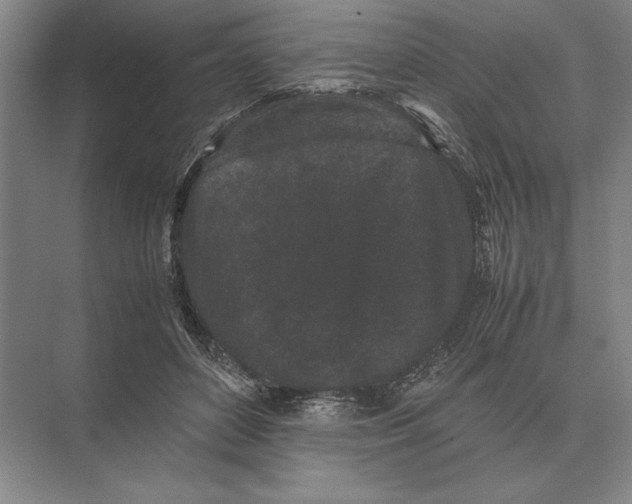 X0000072530504200608111750