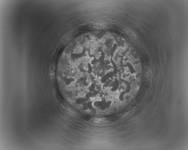 X0000072530507200608111750