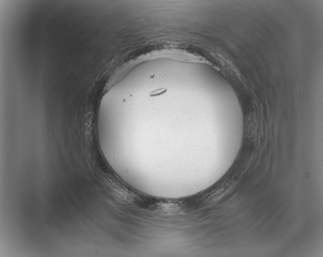 X0000072530509200608111750