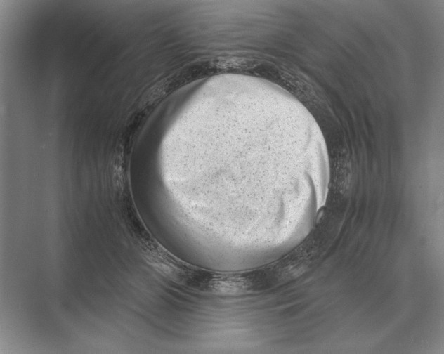 X0000072530510200608111750