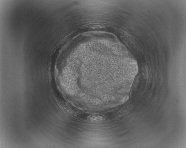 X0000072530512200608111750