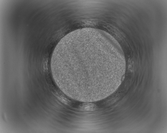 X0000072530514200608111749