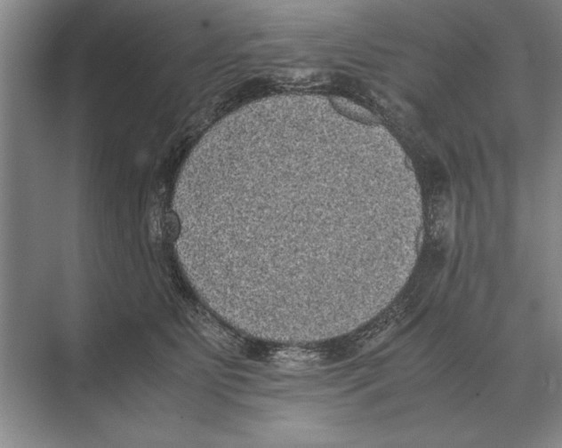 X0000072530515200608111749