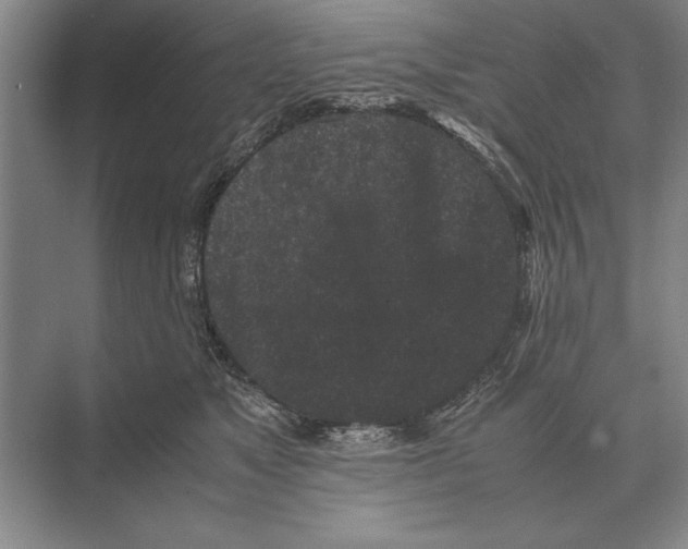 X0000072530517200608111749