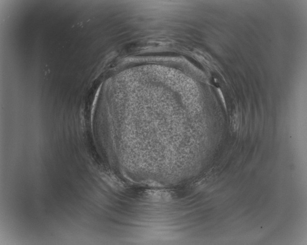 X0000072530520200608111749