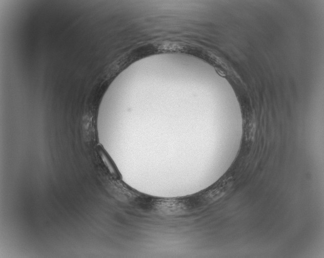 X0000072530521200608111749