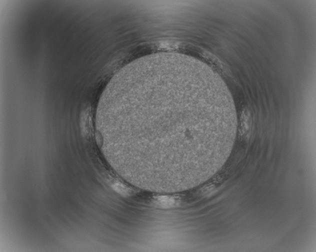 X0000072530522200608111749