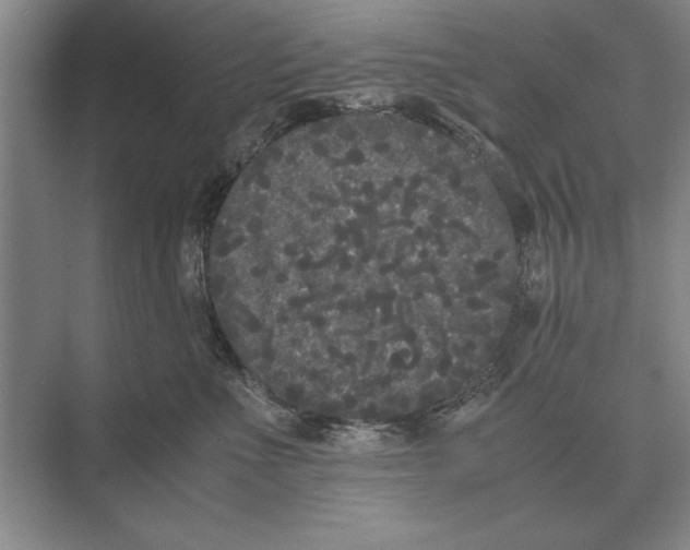 X0000072530523200608111749