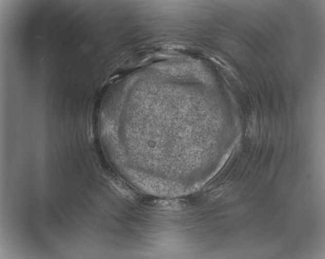 X0000072530524200608111749