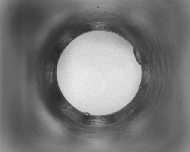 X0000072530525200608111749