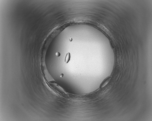 X0000072530530200608111748