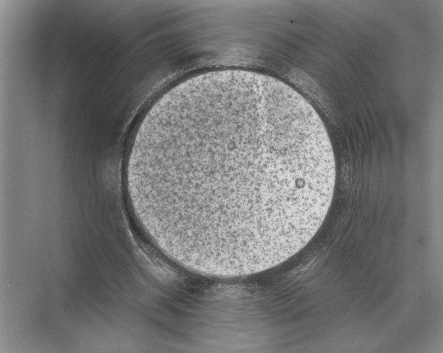 X0000072530534200608111749