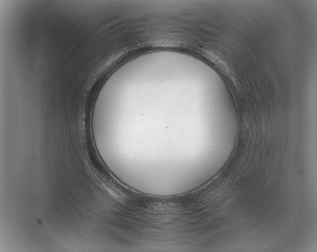 X0000072530535200608111749