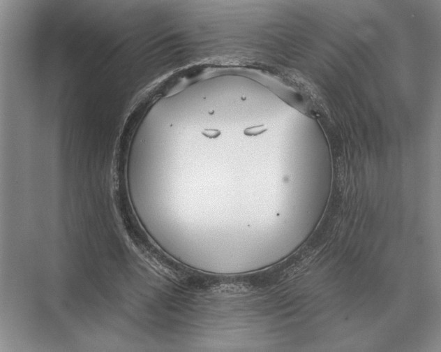 X0000072530536200608111749