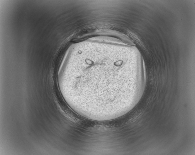 X0000072530538200608111749