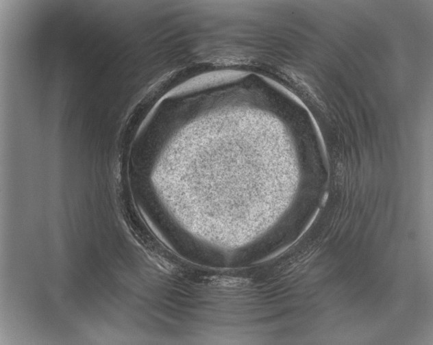 X0000072530539200608111749