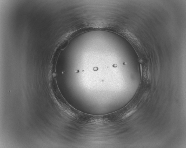 X0000072530540200608111749