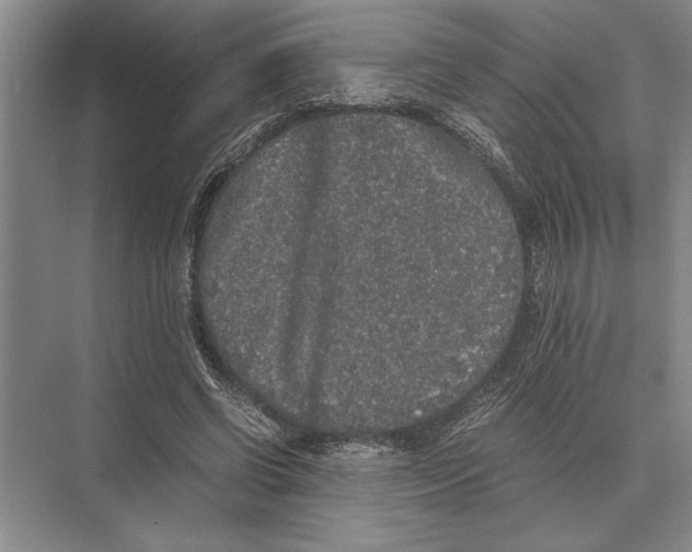 X0000072530542200608111749