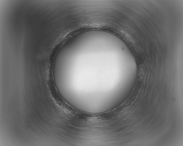 X0000072530544200608111749