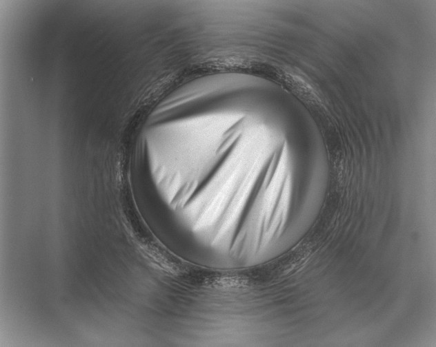 X0000072530546200608111749