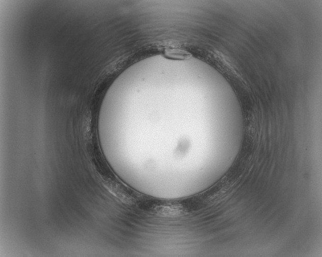 X0000072530548200608111749