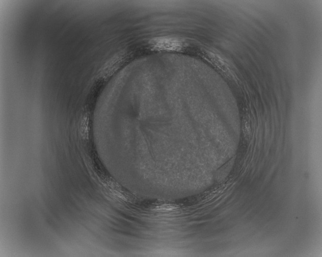 X0000072530551200608111749