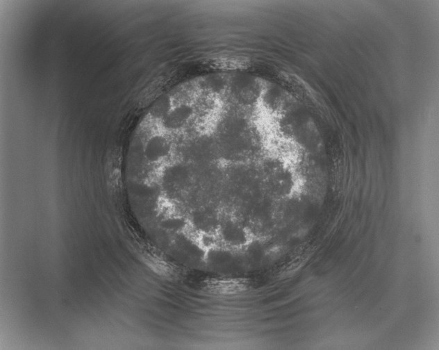 X0000072530553200608111749