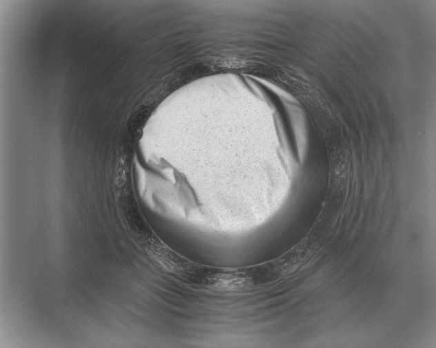 X0000072530555200608111749