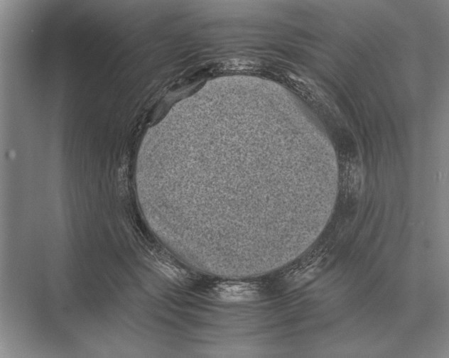 X0000072530557200608111749