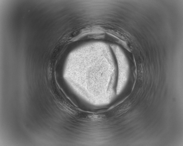 X0000072530558200608111749