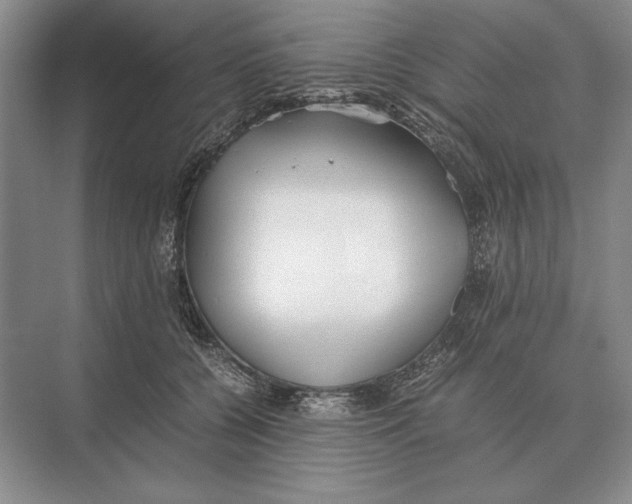 X0000072530560200608111749