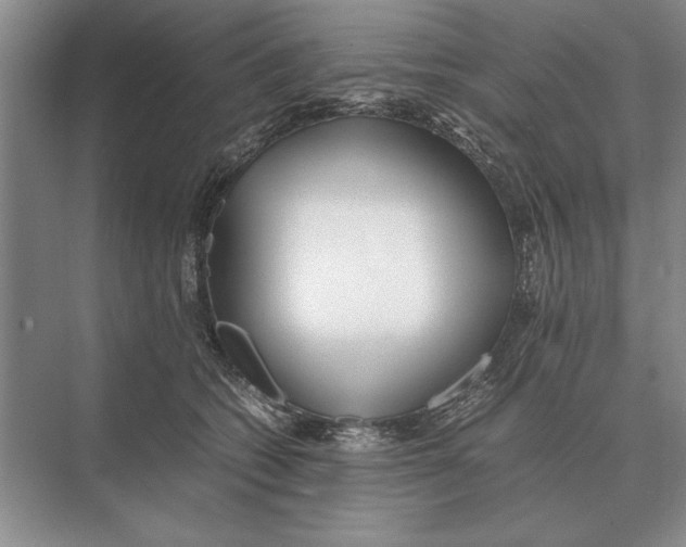 X0000072530562200608111749