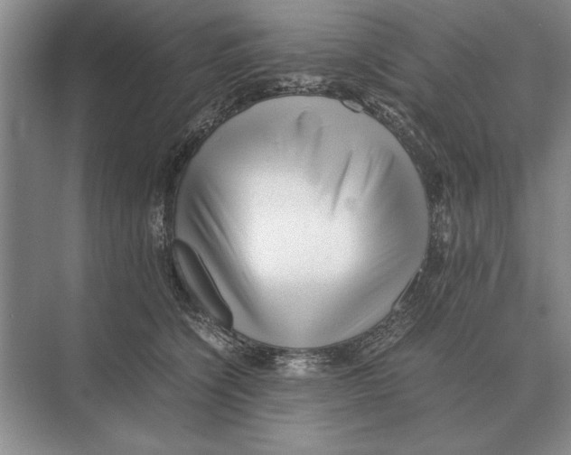 X0000072530564200608111749