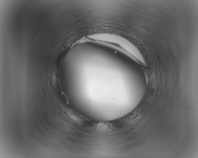 X0000072530566200608111749