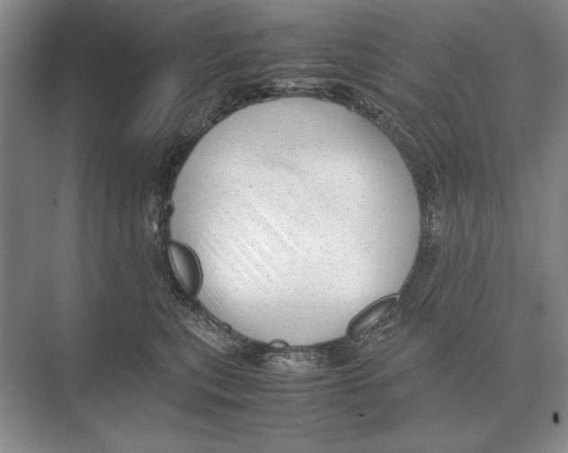 X0000072530567200608111749