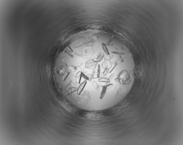 X0000072530568200608111749