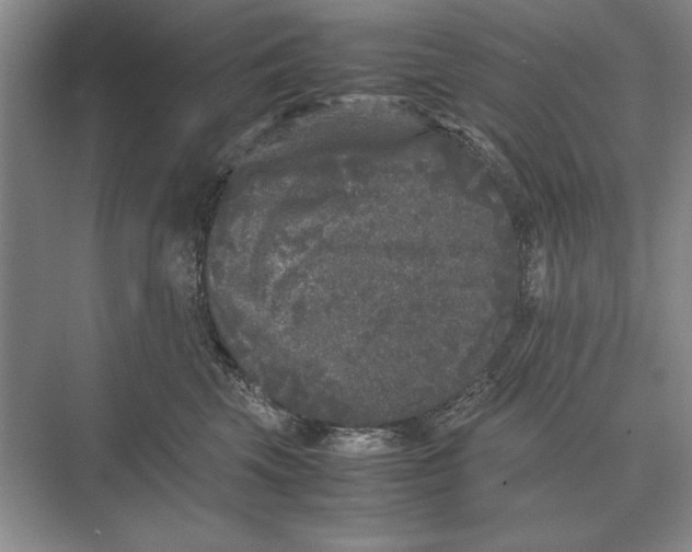 X0000072530569200608111749