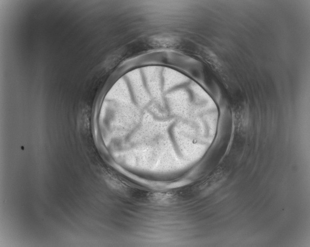 X0000072530570200608111749