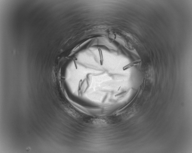 X0000072530572200608111749