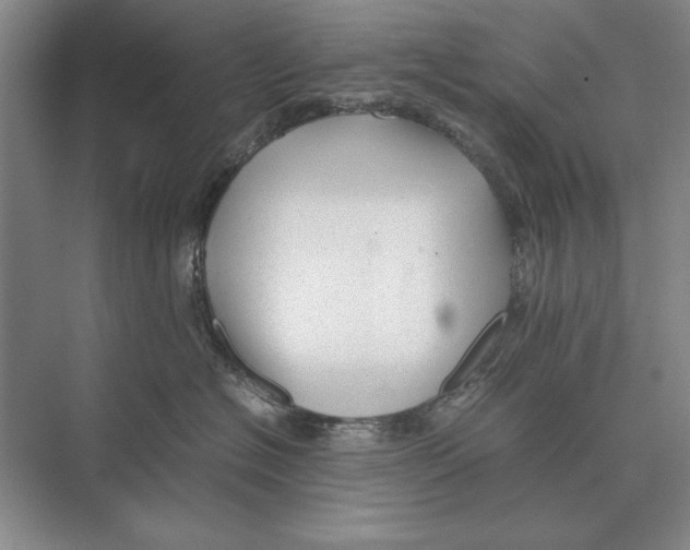 X0000072530574200608111749