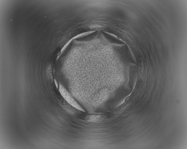 X0000072530575200608111749