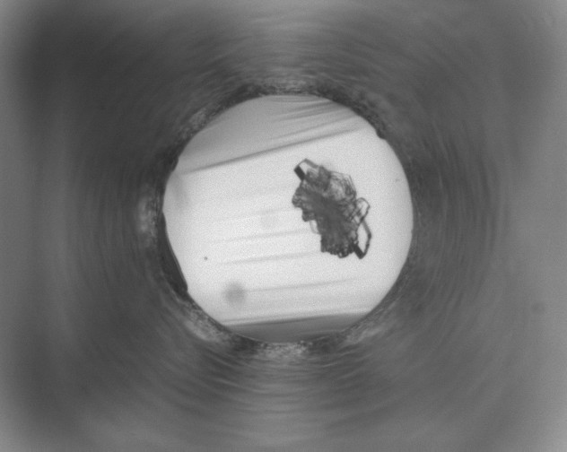 X0000072530576200608111749