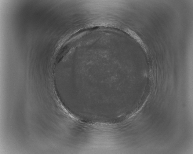 X0000072530577200608111748